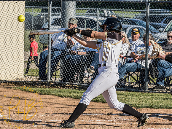 Lapel Softball 2024 1961-Edit