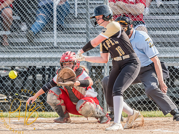Lapel Softball 2024 0856-Edit