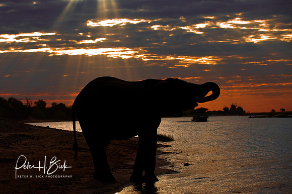 Africa 08 3903