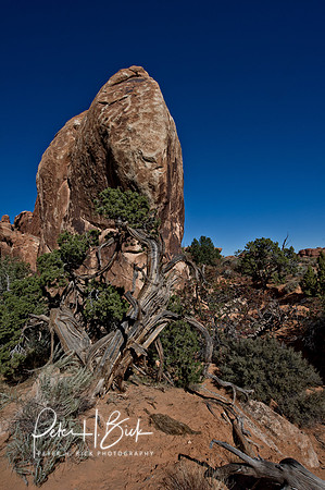 Arches NP 2011 0543