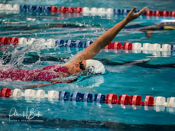 susan-ingraham-usms-panam-2018 1860