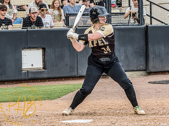 Lapel Softball 2024 3375-Edit