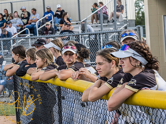 Lapel Softball 2024 1716-Edit