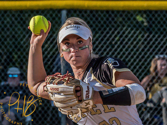 Lapel Softball 2024 1981-Edit