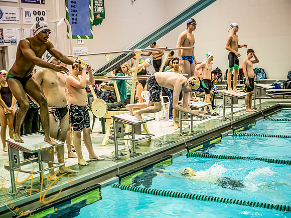 Lapel Swimming 2024-25 0065-Edit-topaz-denoise-face