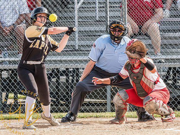 Lapel Softball 2024 0801-Edit