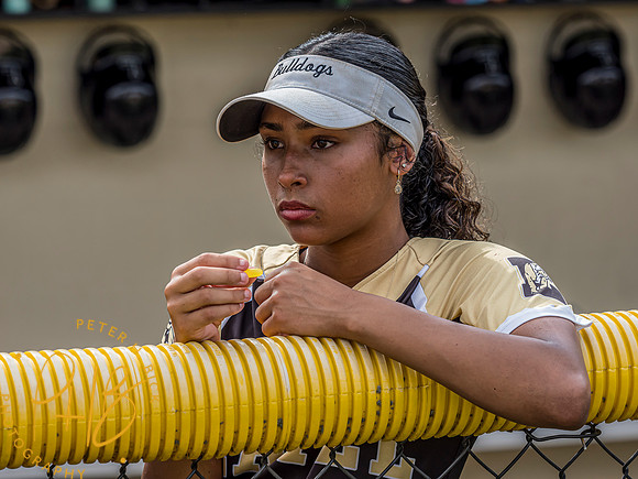 Lapel Softball 2024 1200-Edit