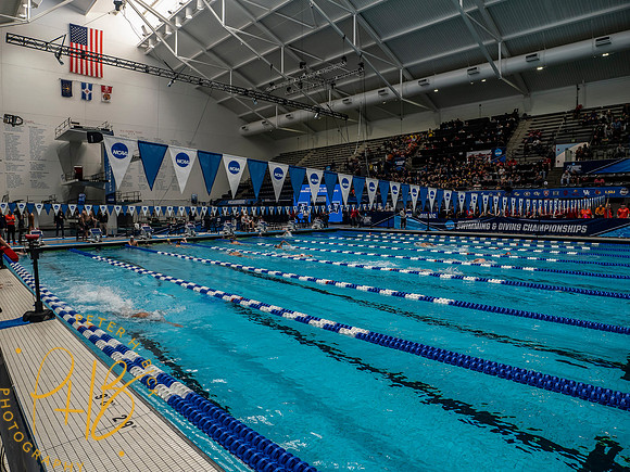 venue- 2024 Men NCAA S&D 0139-Edit