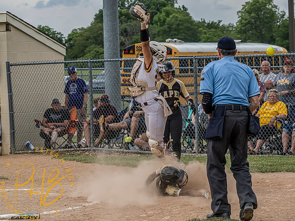 Lapel Softball 2024 1445-Edit