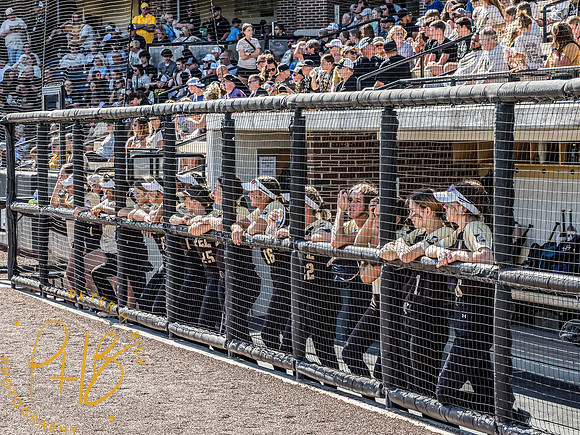 Lapel Softball 2024 3010-Edit
