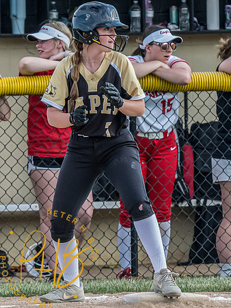 Lapel Softball 2024 0922-Edit