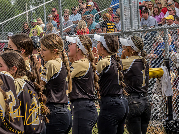 Lapel Softball 2024 1264-Edit