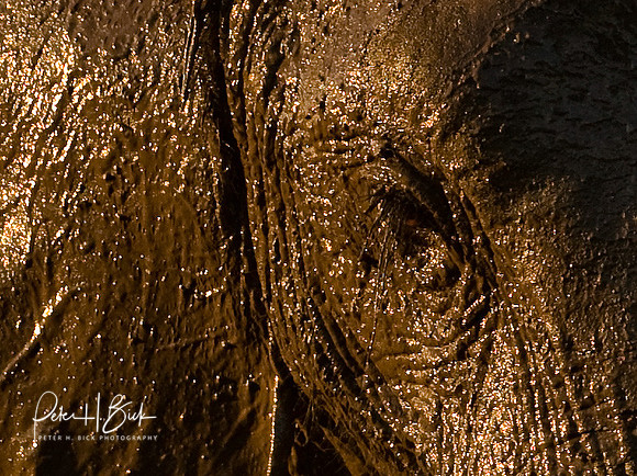 Africa 08 6074