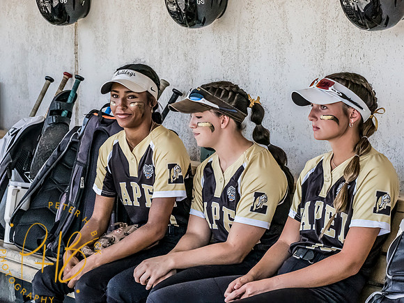 Lapel Softball 2024 2901-Edit