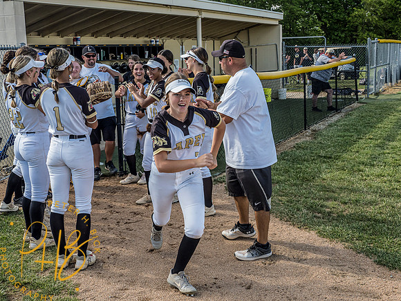 Lapel Softball 2024 1738-Edit