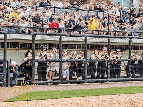 Lapel Softball 2024 3371-Edit