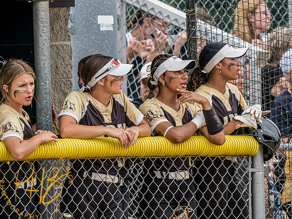 Lapel Softball 2024 2536-Edit