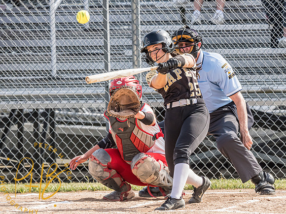 Lapel Softball 2024 0704-Edit