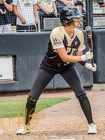 Lapel Softball 2024 3440-Edit