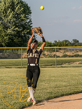 Lapel Softball 2024 1062-Edit