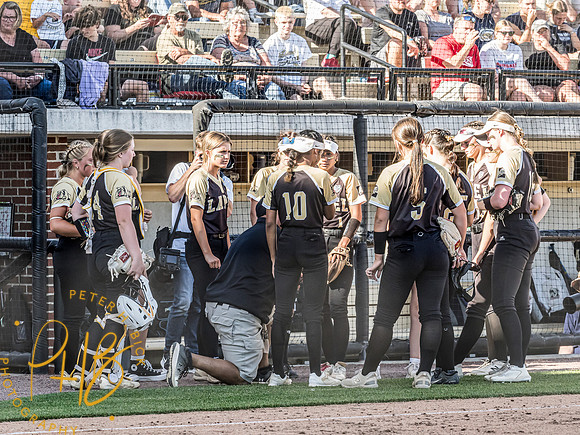 Lapel Softball 2024 3261-Edit