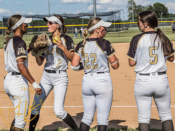 Lapel Softball 2024 1702-Edit