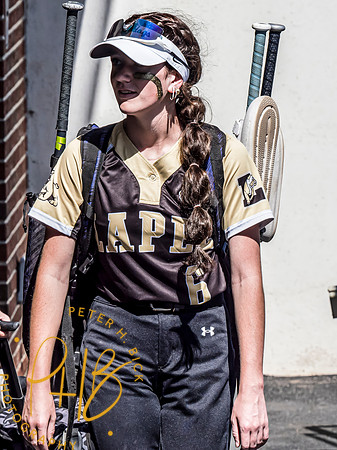 Lapel Softball 2024 2824-Edit