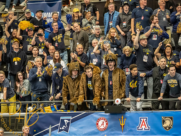 california-cheering- 2024 Men NCAA S&D 0316-Edit
