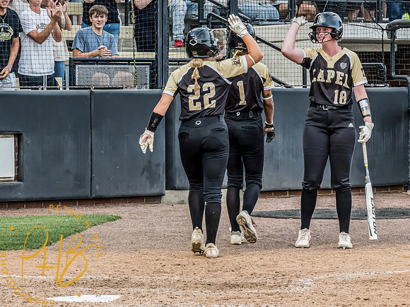 Lapel Softball 2024 3398-Edit