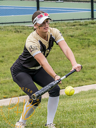 Lapel Softball 2024 2302-Edit