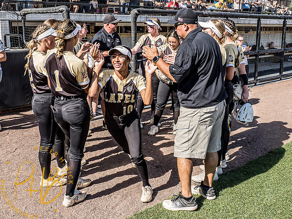 Lapel Softball 2024 3068-Edit