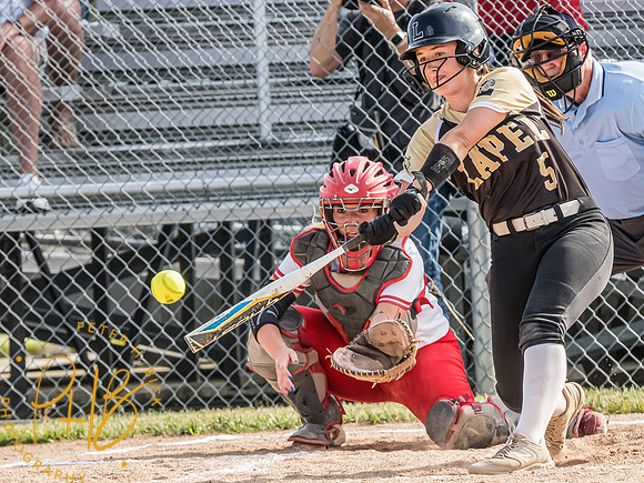Lapel Softball 2024 0763-Edit
