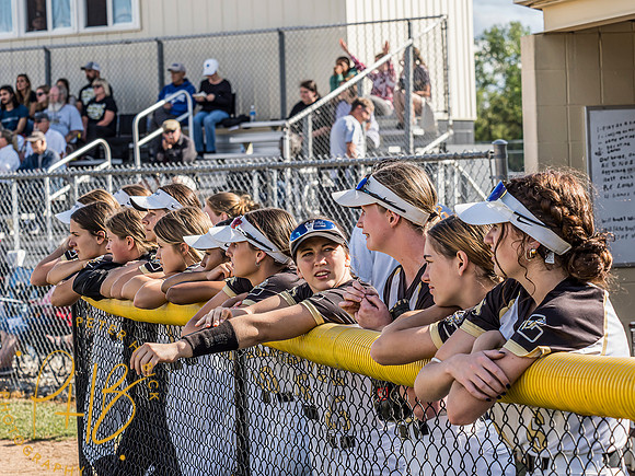 Lapel Softball 2024 1720-Edit