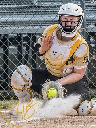 Lapel Softball 2024 0732-Edit