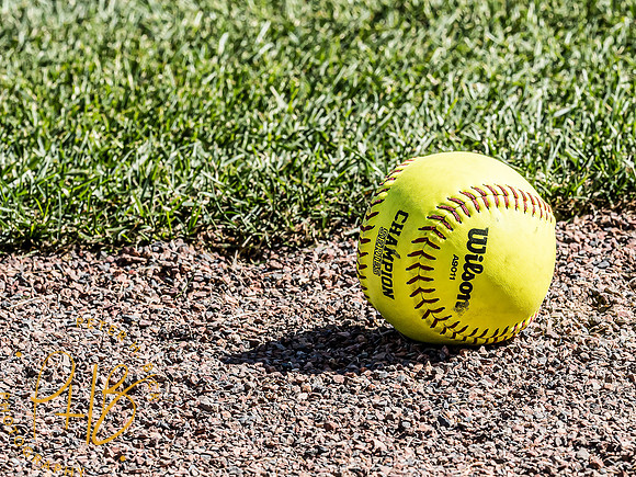 Lapel Softball 2024 3015-Edit
