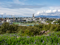 2025 Iceland 0025-Edit