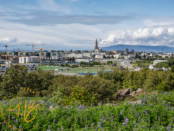 2025 Iceland 0025-Edit