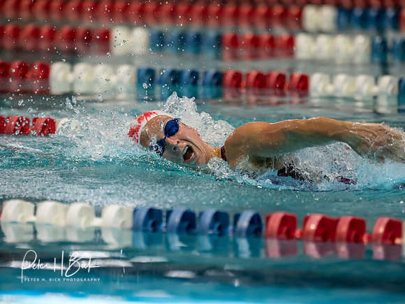 cecy-cohen-usms-panam-2018 0845