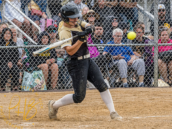 Lapel Softball 2024 2783-Edit