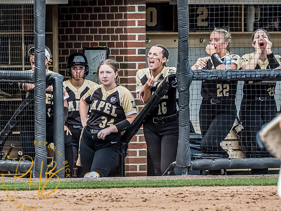 Lapel Softball 2024 3330-Edit