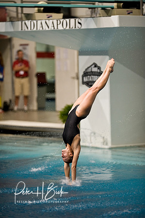 2008 Diving Trials 005