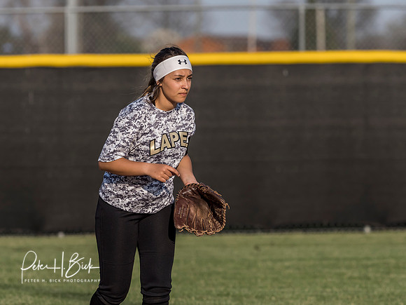 Lapel Softball 2019 0717