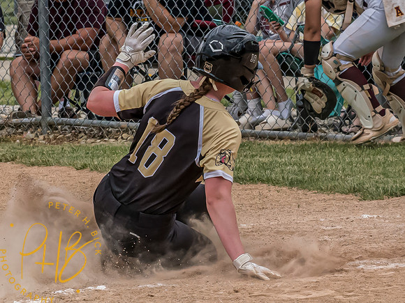 Lapel Softball 2024 1380-Edit