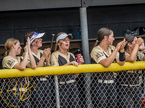 Lapel Softball 2024 2507-Edit