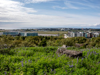 2025 Iceland 0021-Edit
