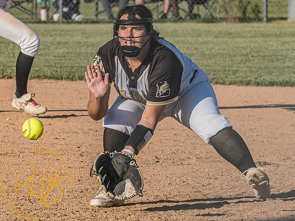 Lapel Softball 2024 2077-Edit