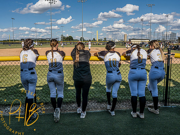 Lapel Softball 2024 1796-Edit