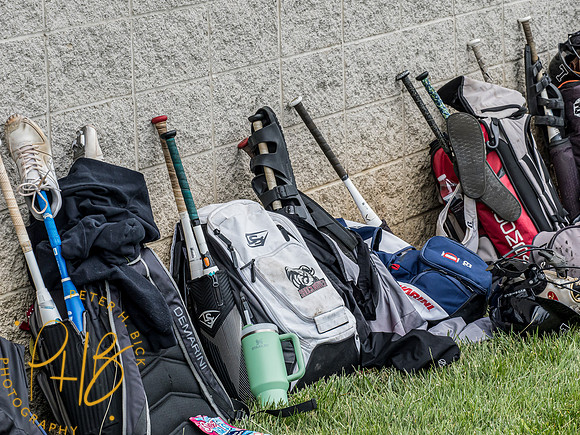 Lapel Softball 2024 2329-Edit