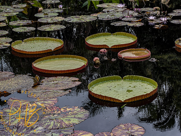 2022 Florida Trip 0092-Edit
