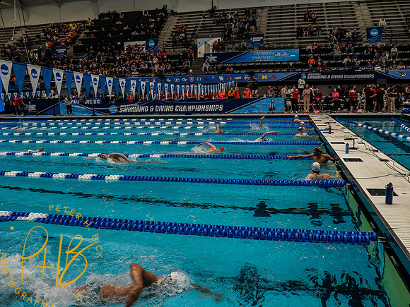 venue- 2024 Men NCAA S&D 0140-Edit